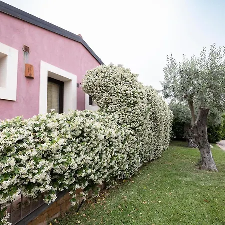 Agriturismo Badiula Farm stay