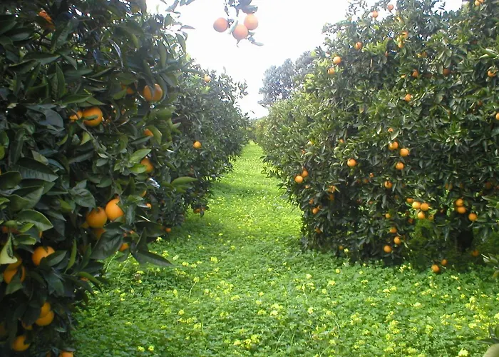 Farmház Badiula Carlentini