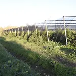 Badiula Alloggio per agriturismo *