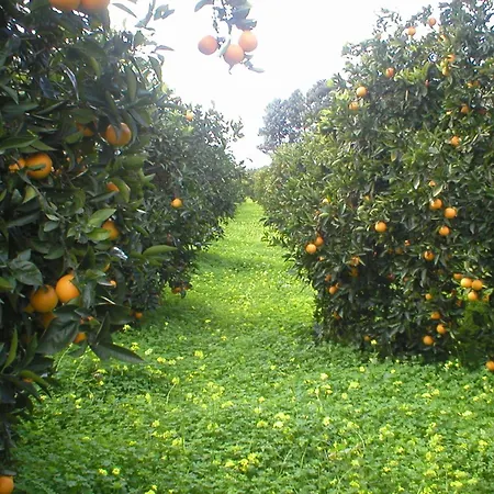 Alloggio per agriturismo Badiula Carlentini